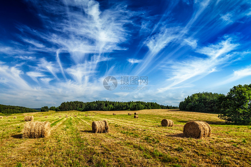 农业背景夏季田间干草捆田野上的干草捆图片