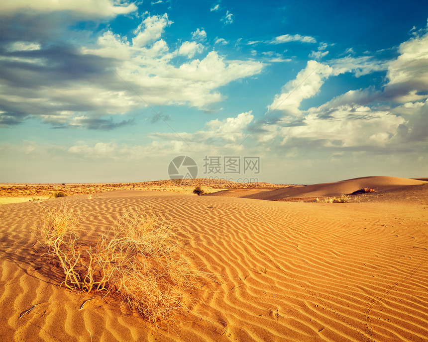 复古效果过滤了萨尔沙漠沙丘的时髦风格图像萨姆沙丘,拉贾斯坦邦,印度印度拉贾斯坦邦塔尔沙漠沙丘图片
