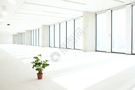 空办公室的盆栽植物图片