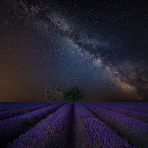 令人惊叹的充满活力的银河复合图像美丽的薰衣草田野景观上图片