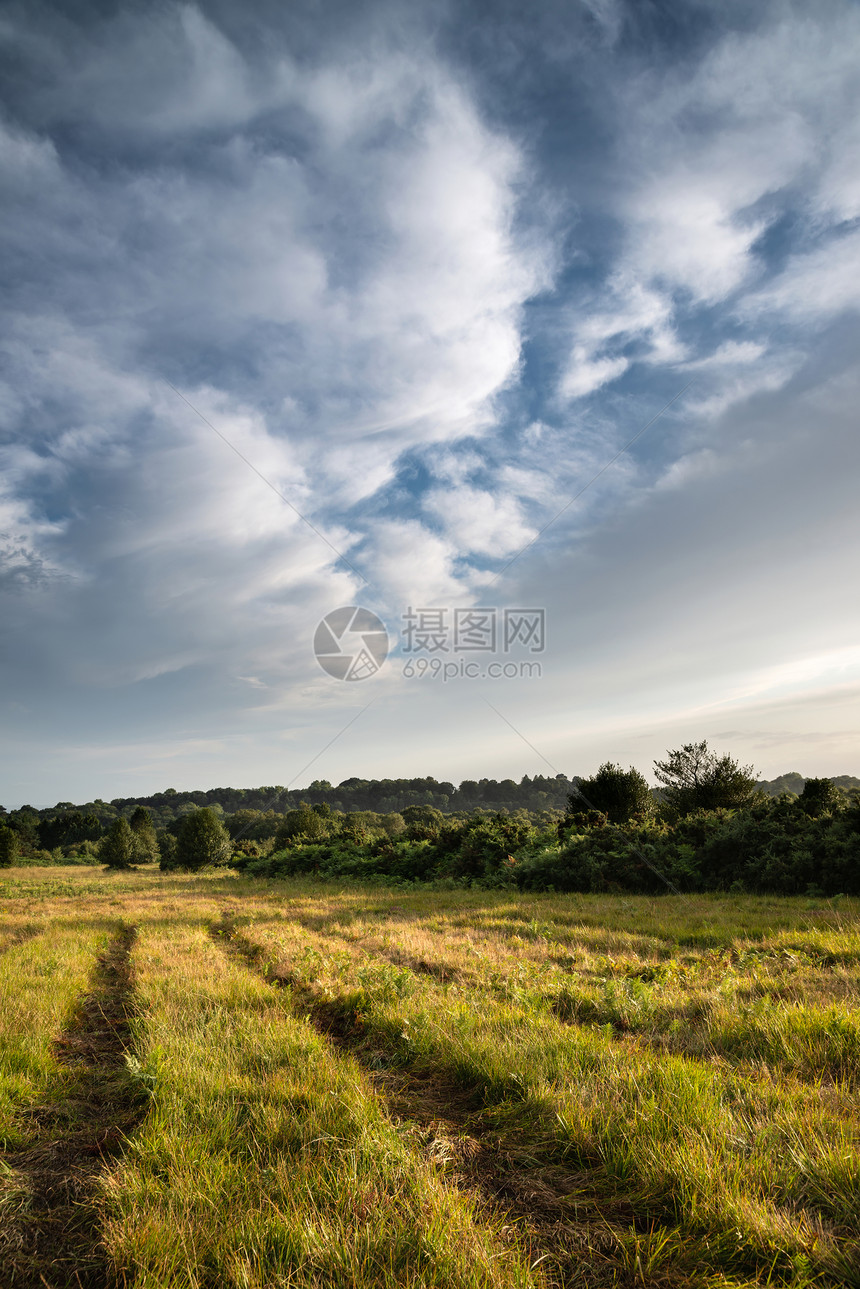 美丽的夏季日落景观形象,阿什德林英国乡村充满活力的颜色图片