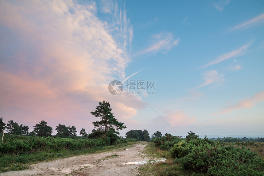 美丽的夏季日落景观形象,阿什德林英国乡村充满活力的颜色图片