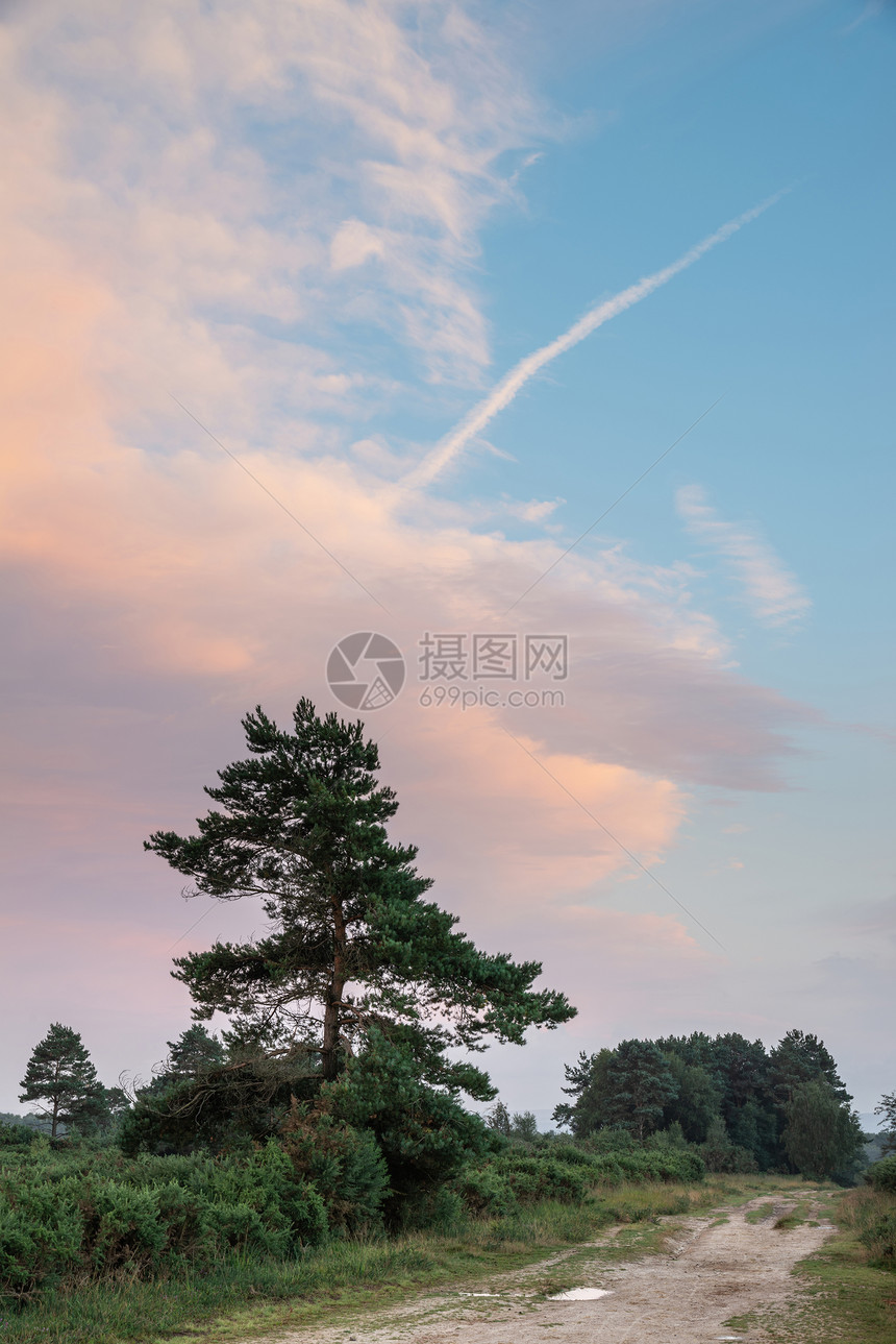 美丽的夏季日落景观形象,阿什德林英国乡村充满活力的颜色图片