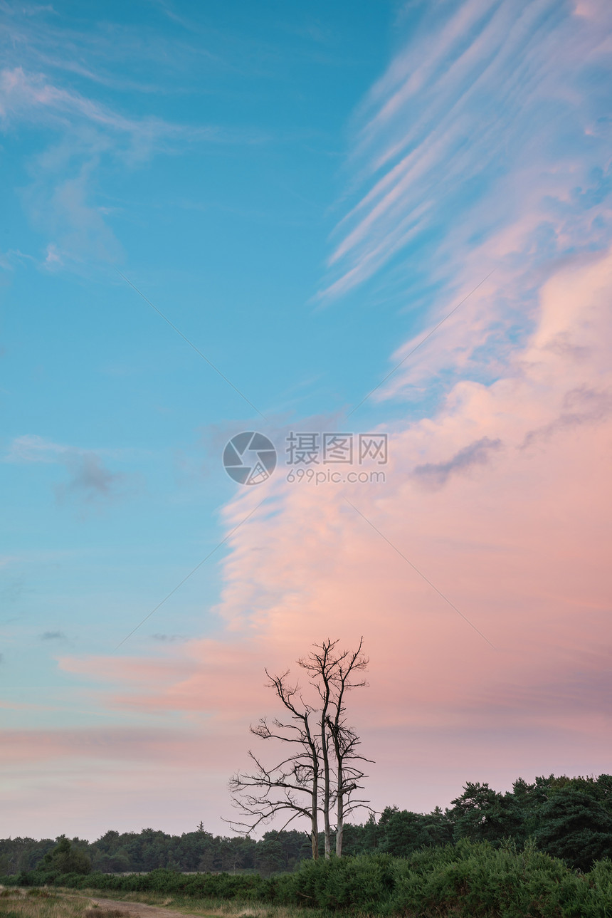 美丽的夏季日落景观形象,阿什德林英国乡村充满活力的颜色图片