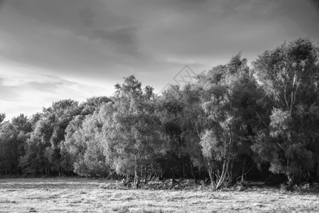 美丽的夏季日落景观形象,阿什德林英国乡村黑白图像图片