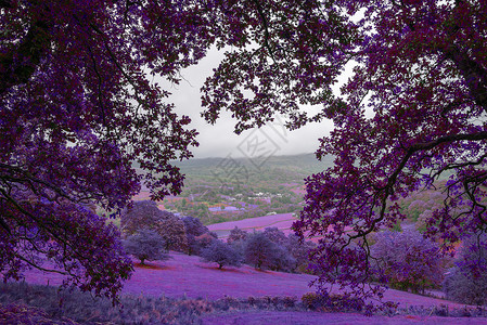 科德y布伦美丽的超现实的替代颜色景观图像,悬崖步行斯诺登尼亚俯瞰巴茅斯合作伊布林森林9月的雨天下午背景