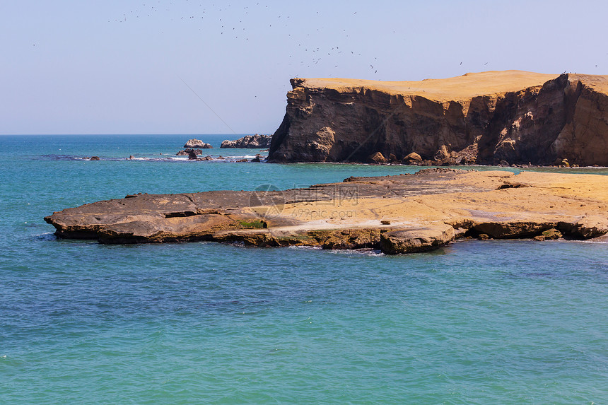 美丽的海岸线景观帕拉卡斯保护区,ICA地区,太平洋海岸秘鲁图片