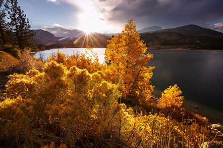 阿斯彭内华达山脉的风景秋天的树叶景观加州,美国背景