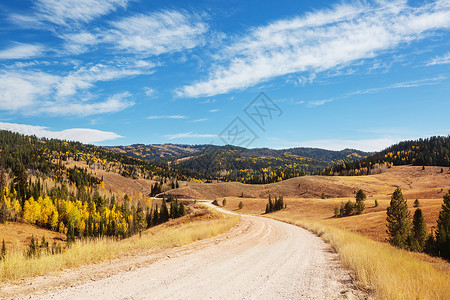 阳光明媚的早晨,乡间道路上五彩缤纷的秋天景象图片