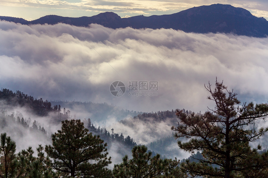 高山上的雾图片