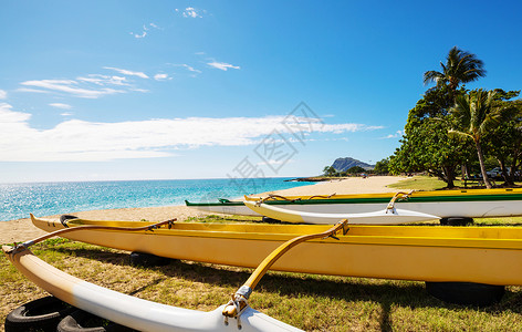 支腿夏威夷海滩上的独木舟背景