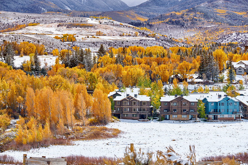 季节变化,雪秋树洛基山,科罗拉多州,美国图片