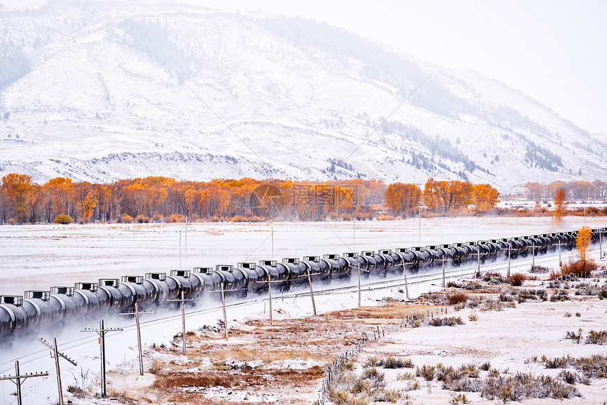 运输车的火车季节变化,雪秋树洛基山,科罗拉多州,美国图片