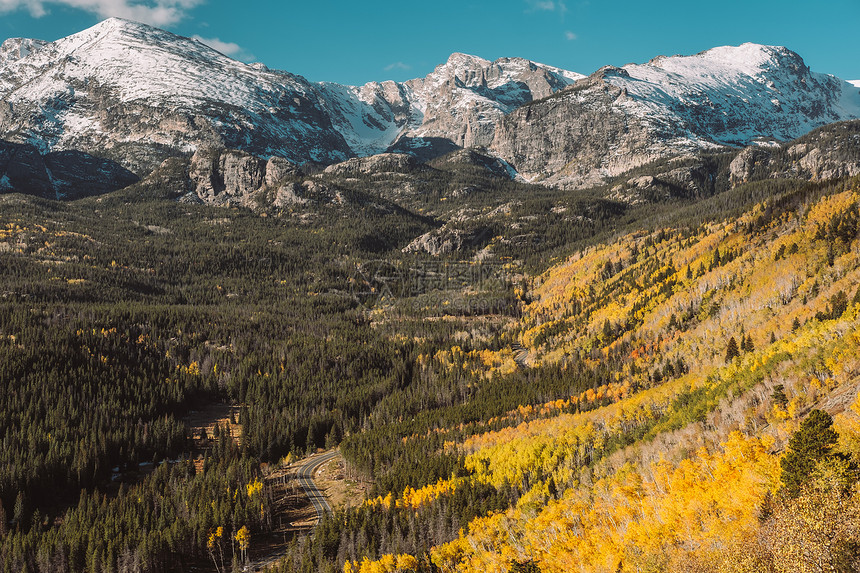 秋天的白杨树林洛基山公园科罗拉多,美国图片