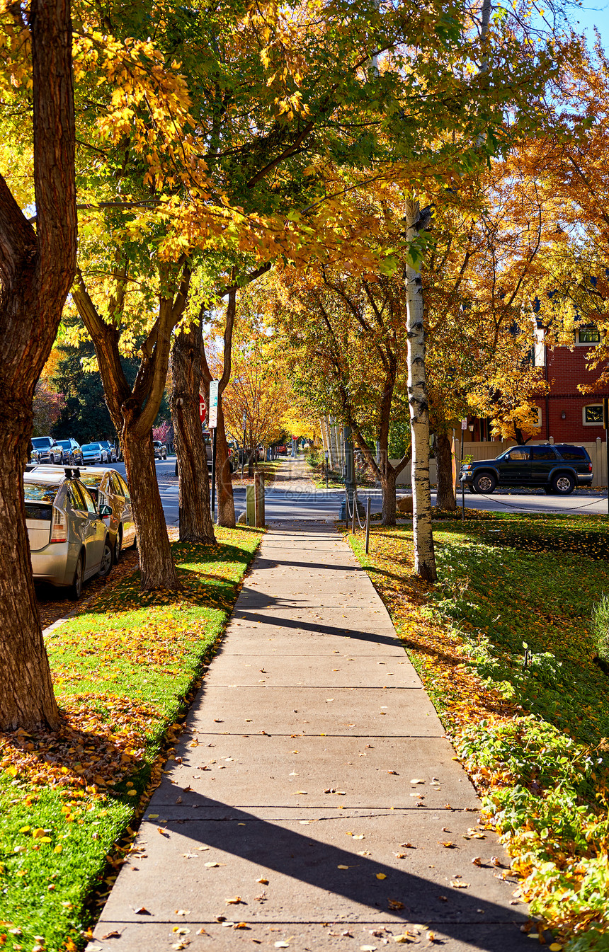 美国科罗拉多州秋季阿斯彭镇的街道图片
