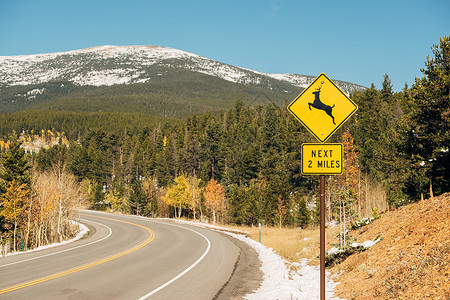 美国科罗拉多州秋季晴天公路上的鹿过境标志图片