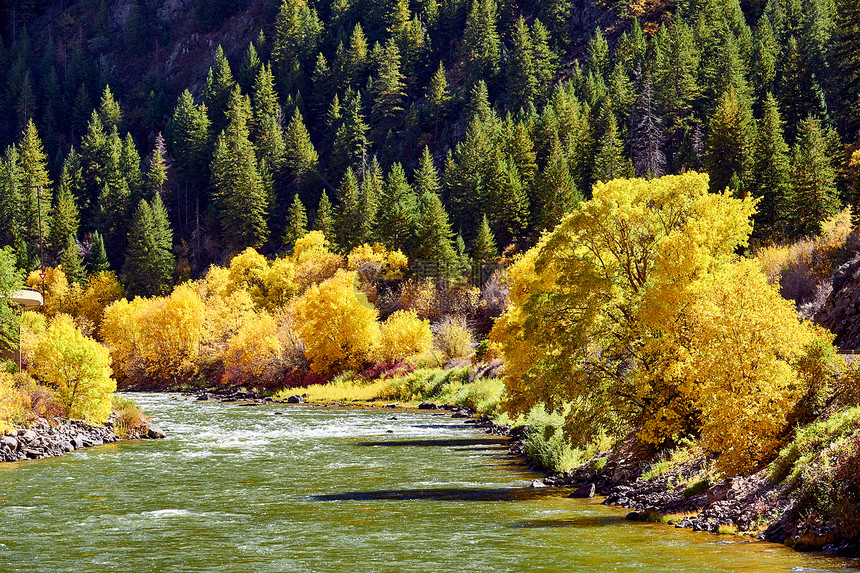 秋天的树木河流景观洛基山,科罗拉多州,美国图片