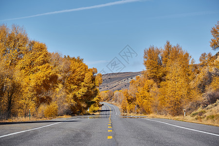 科罗拉多州的公路秋天,美国背景图片