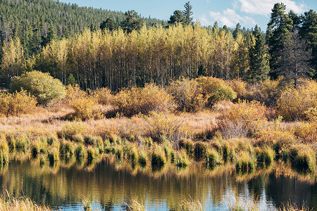 秋天的百合湖美国科罗拉多州的洛基山脉图片