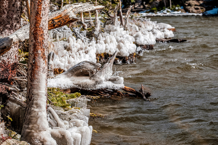 秋天的湖风水树上草地上产生的冰柱美国科罗拉多州洛基山公园图片