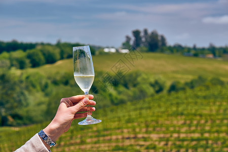 加州品酒杯白葡萄酒葡萄园背景