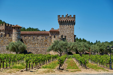 葡萄园与城堡加利福尼亚,美国高清图片
