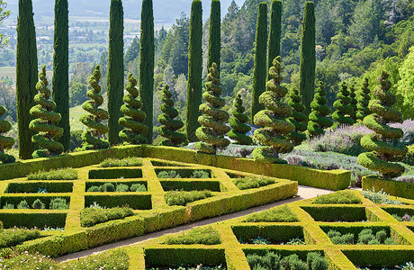 美国加州葡萄园的正式花园图片