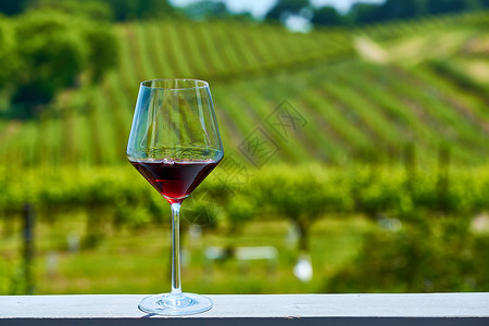 加州品酒杯红酒葡萄园图片