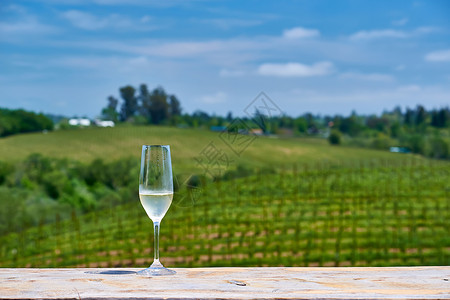加州品酒杯白葡萄酒葡萄园图片