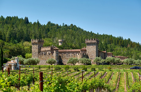 葡萄园与城堡加利福尼亚,美国图片