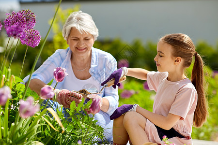 园艺,家庭人的快乐的祖母孙女夏季花园种花祖母女孩花园里种花图片