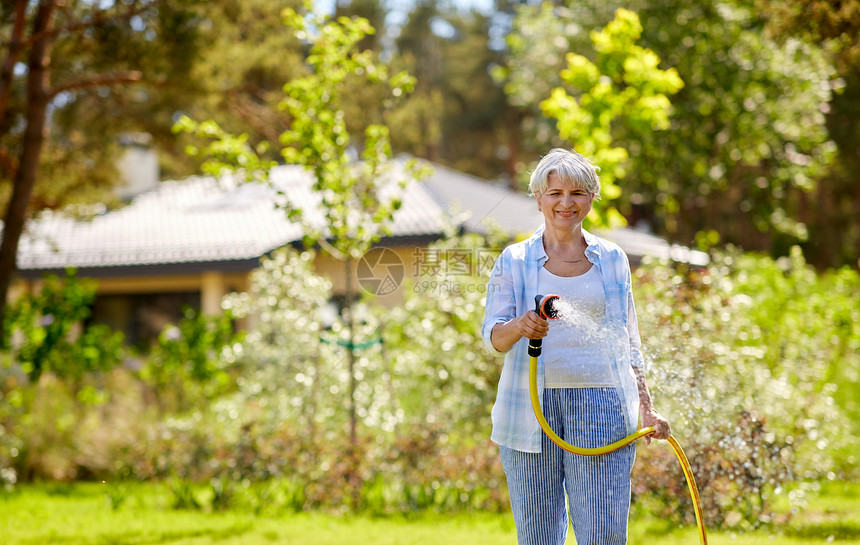 园艺人们的快乐的老年女子夏天用花园软管浇水草坪老妇女花园用软管浇草坪图片