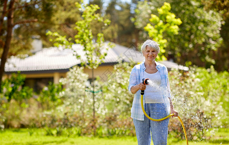 园艺人们的快乐的老年女子夏天用花园软管浇水草坪老妇女花园用软管浇草坪背景
