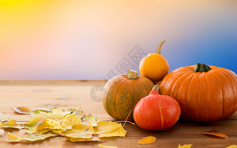 万节,收获秋天的南瓜与树叶木桌上把南瓜关木桌上图片