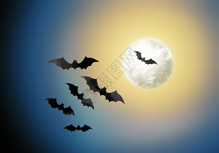 天空蝙蝠万节可怕的黑色蝙蝠月光下飞过夜空背景夜空背景上的黑色蝙蝠背景