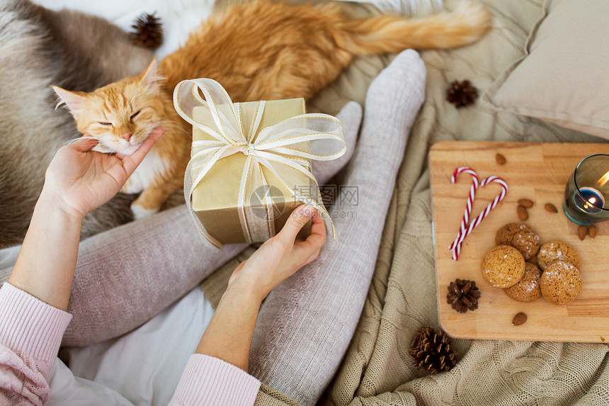 节日,礼物人的亲密的女人与诞礼物猫用诞礼物猫接近女人图片