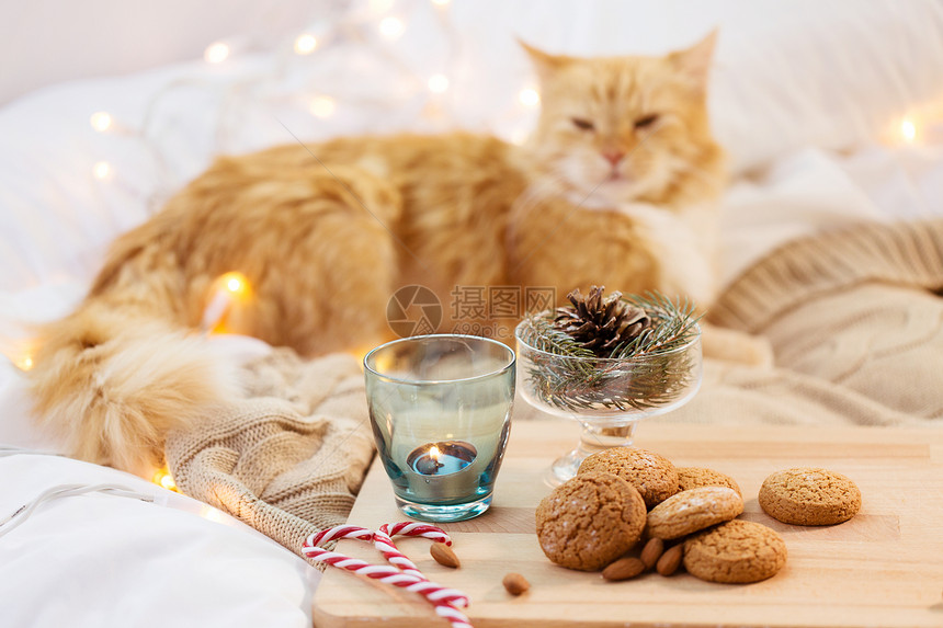 诞燕麦饼干,烛台蜡烛,冷杉树枝装饰猫床上燕麦饼干,蜡烛,冷杉树枝猫床上图片