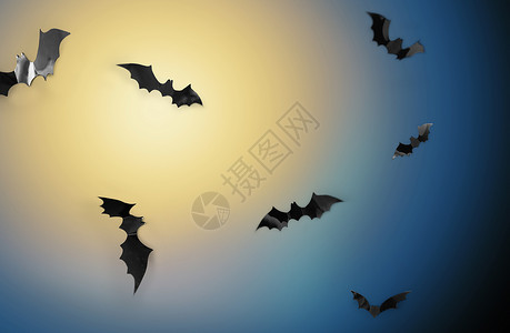 万节可怕的黑色蝙蝠月光下飞过夜空背景蝙蝠夜空背景下飞过月光图片