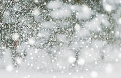 寒假,降水,诞节,季节天气下雪降雪下雪下雪图片