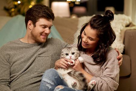 男人与猫宠物,潮格人们的快乐的夫妇与猫家里快乐的家里猫背景