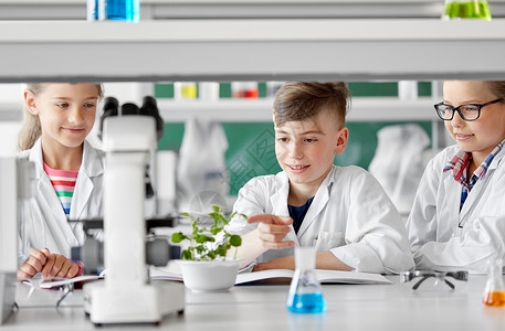 教育科学学校生物课上植物的孩子学生生物课上植物的孩子学生背景图片