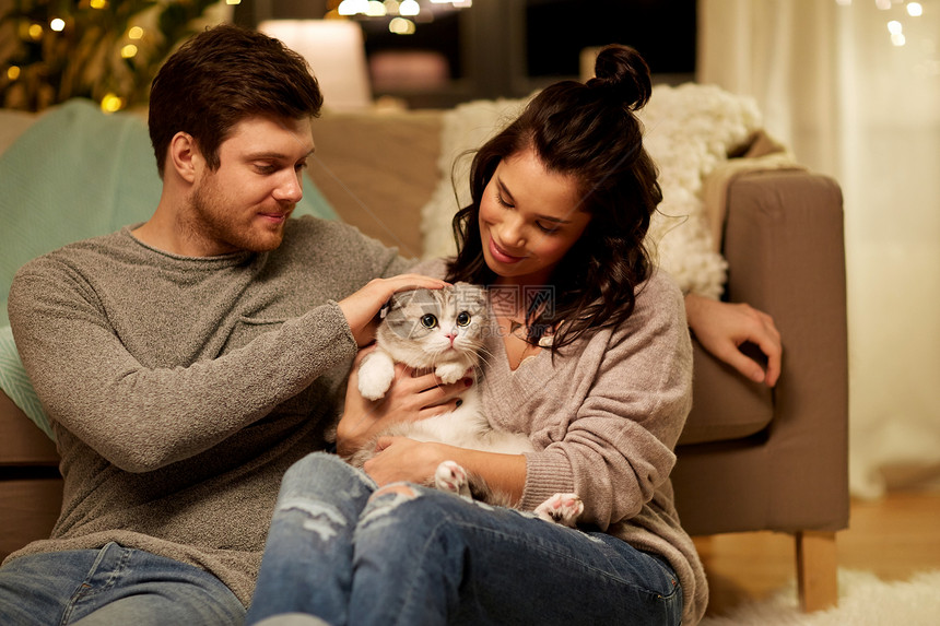 宠物,潮格人们的快乐的夫妇与猫家里快乐的家里猫图片
