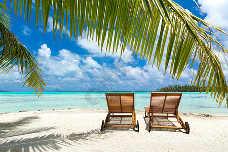 凉台与躺椅旅行,海景自然热带海滩与棕榈树两个太阳床法属波利尼西亚热带海滩,棕榈树日光浴背景