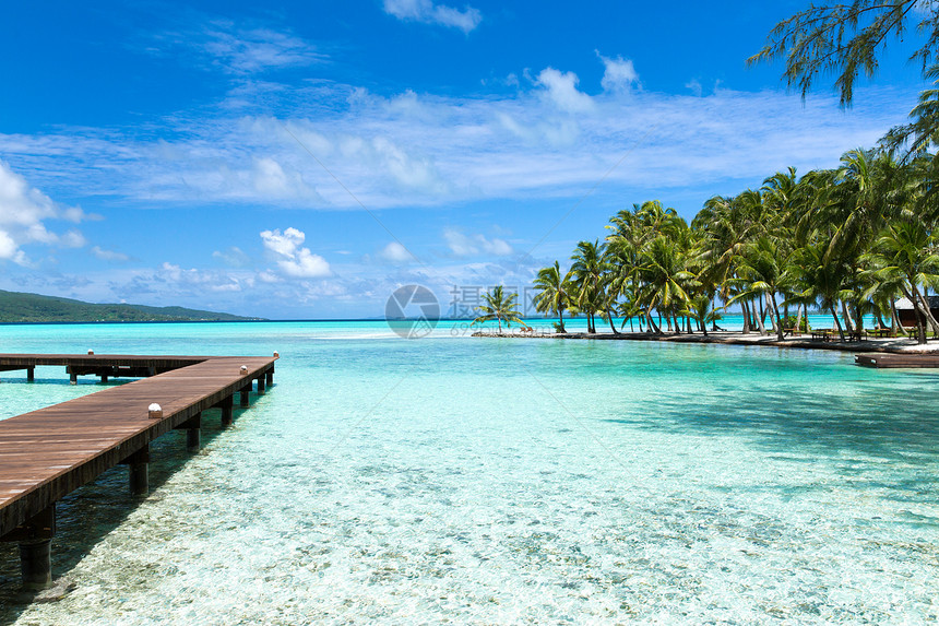 旅行,海景自然木墩热带海滩法属波利尼西亚法属波利尼西亚热带海滩上的木制码头图片