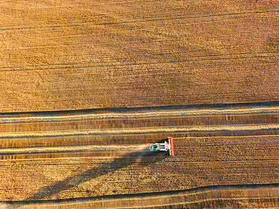 收割机场景工作结合机器收割农业金熟麦田白俄罗斯明斯克附近的大型黑麦场上工作的联合航空视图背景图片