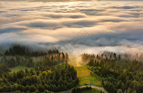 山丽的雾状日出山顶后的雾海喀尔巴阡山脉,乌克兰图片