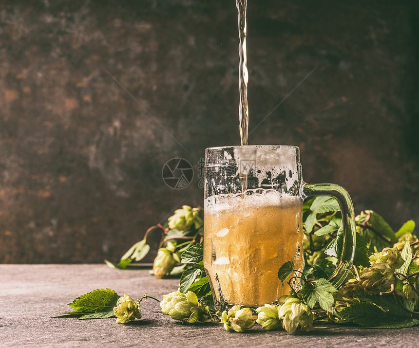 杯啤酒乡村的桌子上,棵藤蔓啤酒花的圆锥形,堵黑暗的墙,正风景啤酒被倒进杯子里图片