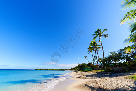 斐济沿海的小岛屿,个白色的沙滩背景图片