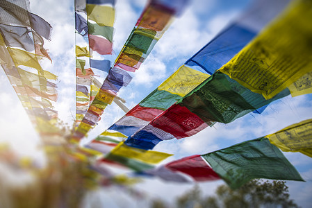 许多五颜六色的挥舞着祈祷悬挂树图片