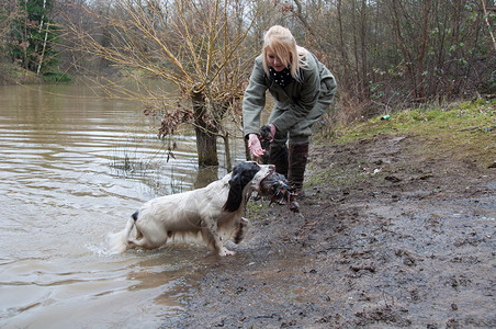 女孩用她的猎犬,穿过水,拍摄图片